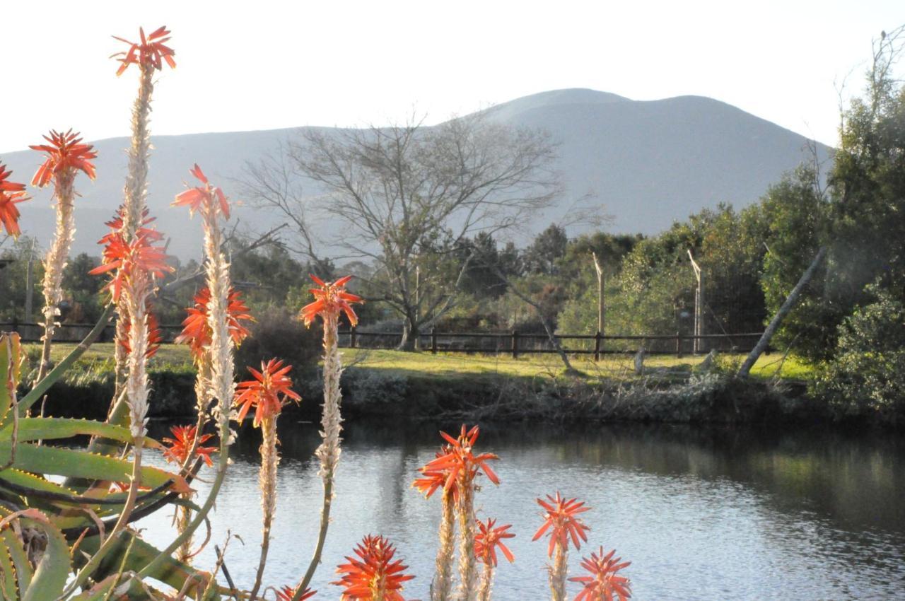 Tenikwa Family Suites Plettenberg Bay Bagian luar foto