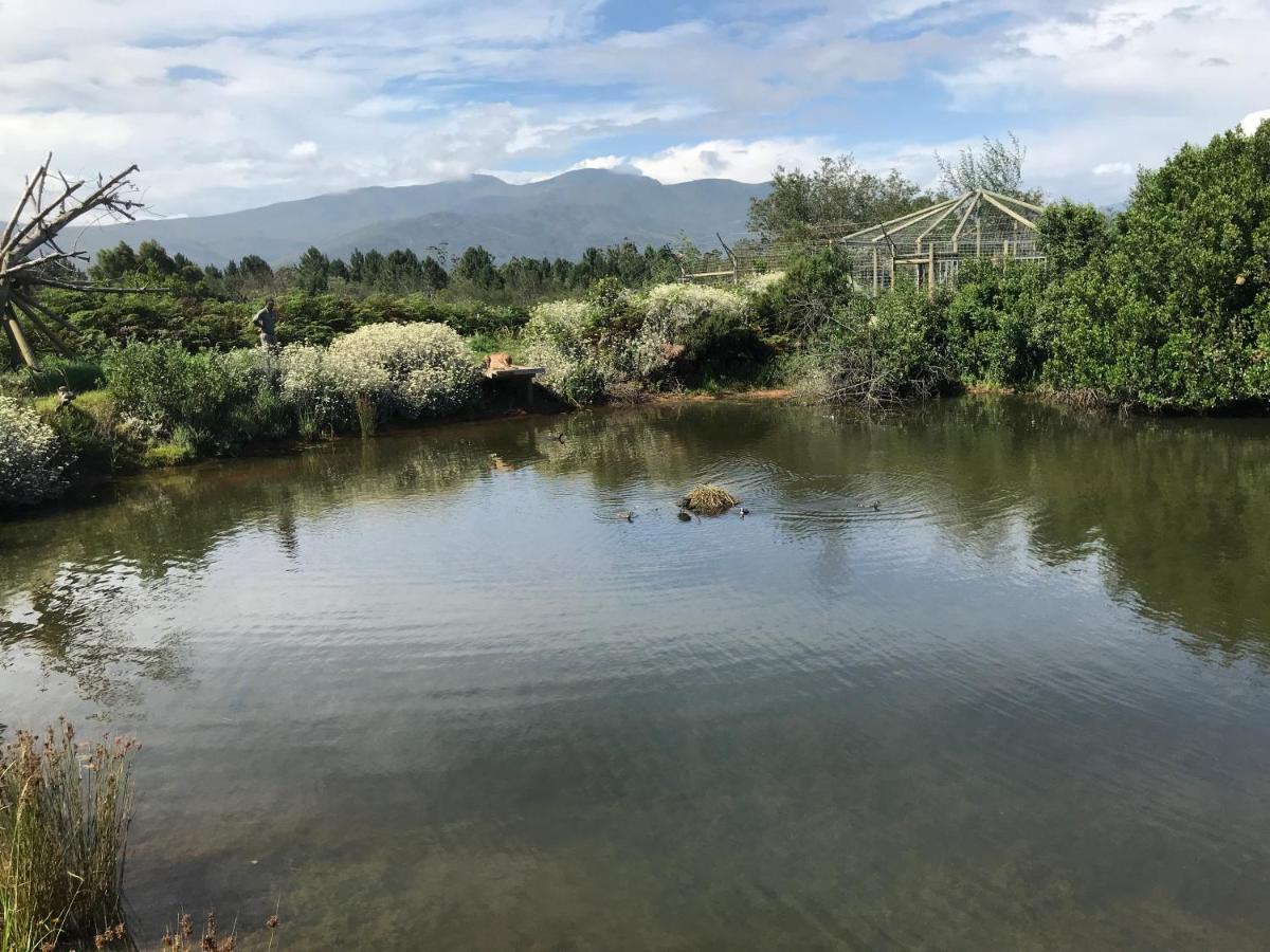 Tenikwa Family Suites Plettenberg Bay Bagian luar foto