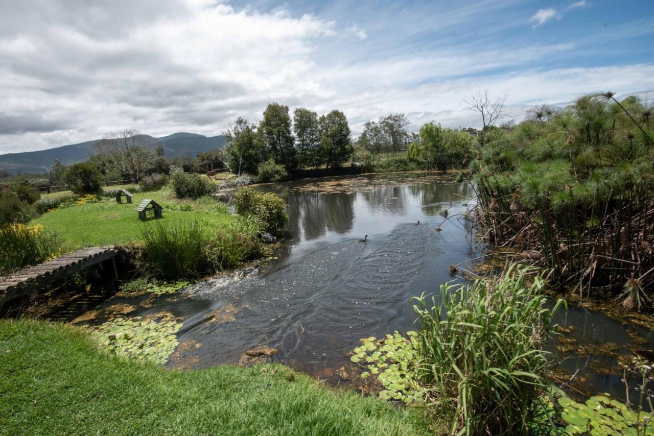 Tenikwa Family Suites Plettenberg Bay Bagian luar foto