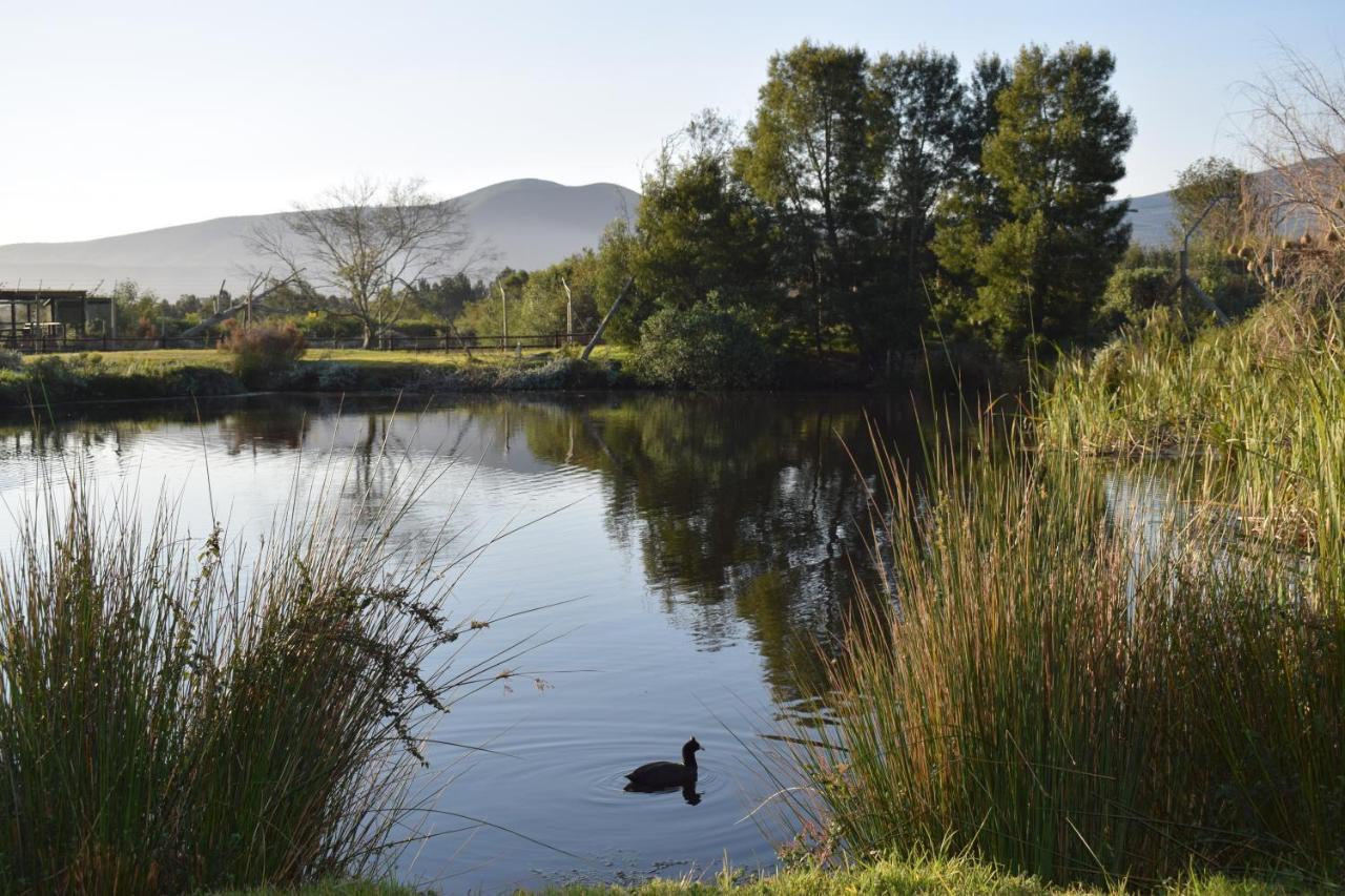 Tenikwa Family Suites Plettenberg Bay Bagian luar foto