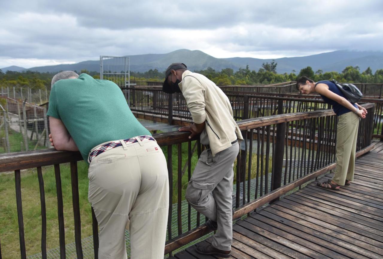 Tenikwa Family Suites Plettenberg Bay Bagian luar foto