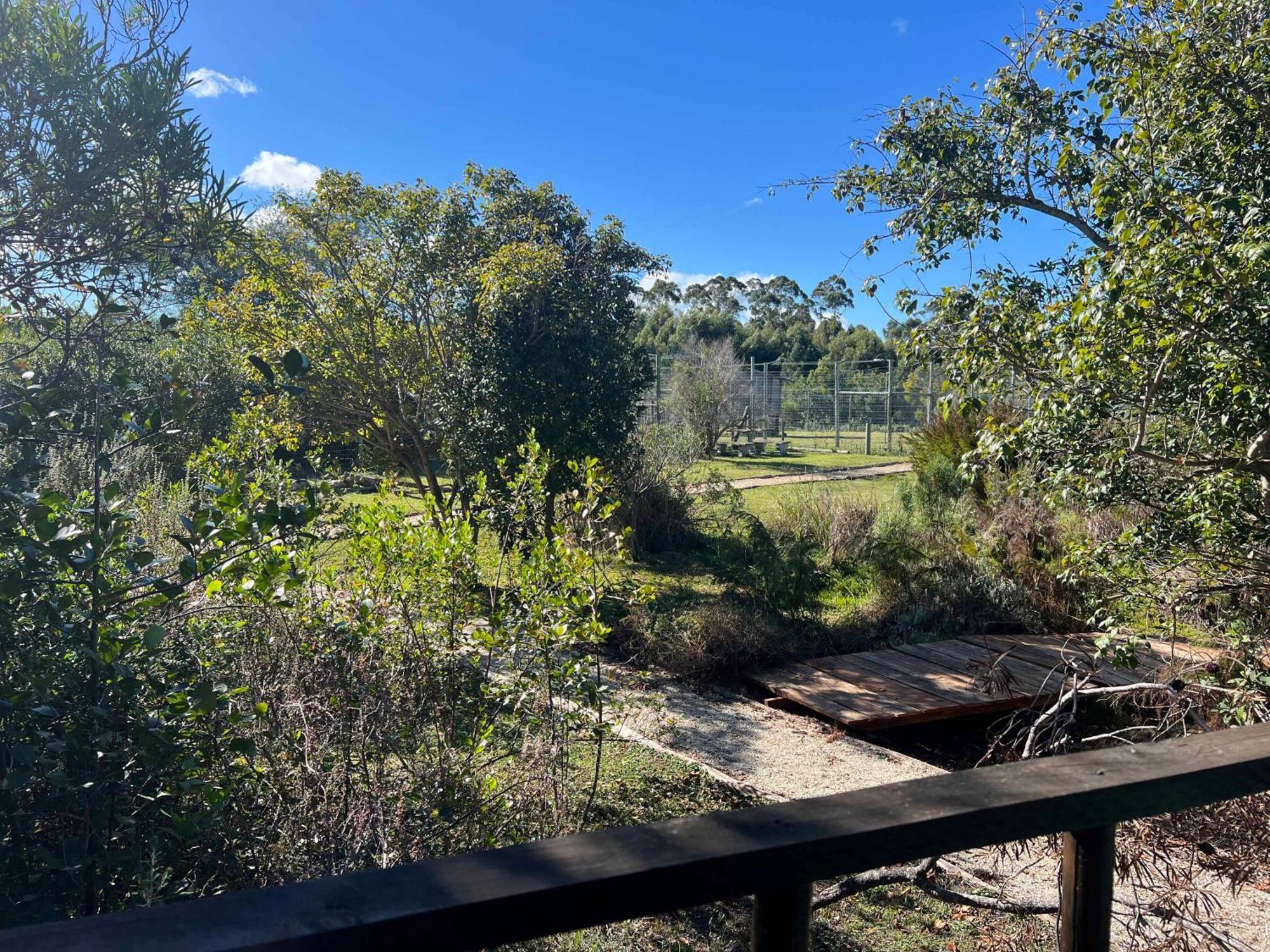 Tenikwa Family Suites Plettenberg Bay Bagian luar foto