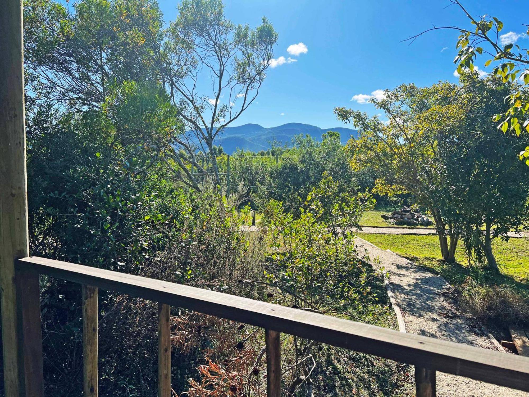 Tenikwa Family Suites Plettenberg Bay Bagian luar foto